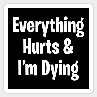 Everything Hurts & I'm Dying Magnet